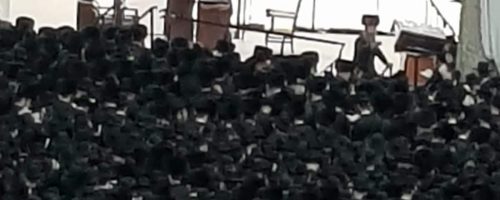 WhatsApp Image 2021-05-15 at 21.46.55