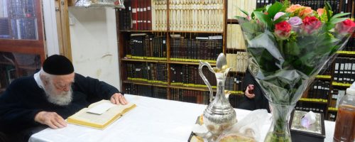 צילום: שוקי לרר