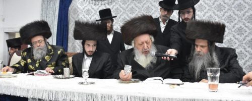 צילום יהודה פרקוביץ