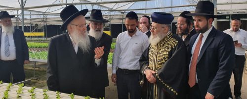 WhatsApp Image 2021-06-22 at 17.54.38