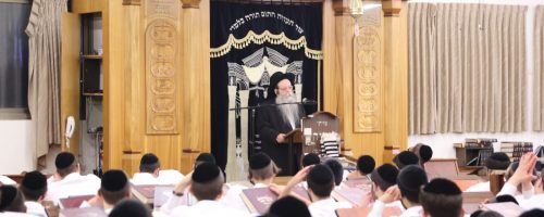 צילום: דוד קשת