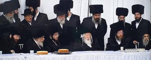 WhatsApp Image 2021-08-17 at 22.42.24