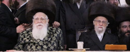 צילום: דוד קשת