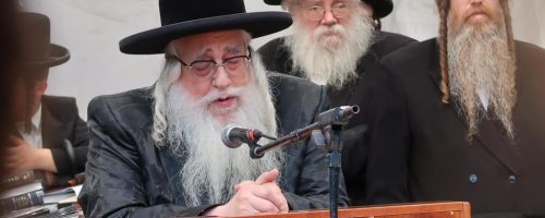 WhatsApp Image 2021-09-12 at 23.15.09