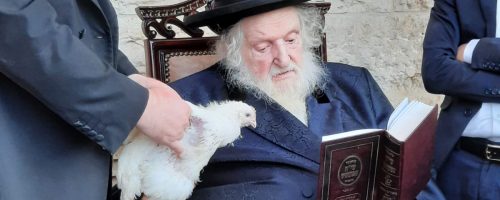 WhatsApp Image 2021-09-15 at 07.43.31