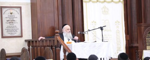 WhatsApp Image 2021-09-26 at 14.55.35