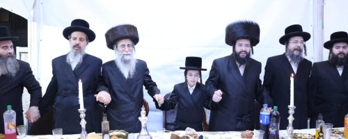 צילום: דוד קשת