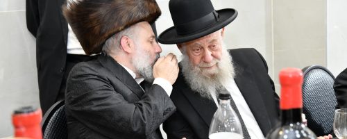 קרדיט: שוקי בריכטא.