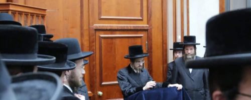 WhatsApp Image 2021-11-18 at 08.10.08 (1)