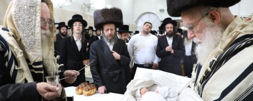 WhatsApp Image 2021-11-20 at 22.15.18