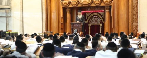 WhatsApp Image 2021-11-24 at 16.26.18 (1)