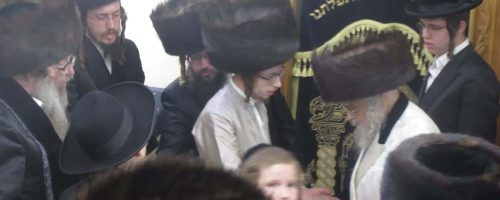 WhatsApp Image 2021-11-28 at 09.18.01