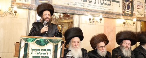 WhatsApp Image 2021-12-07 at 19.55.34