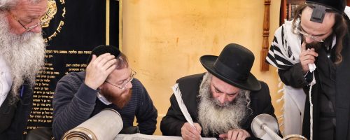 WhatsApp Image 2021-12-29 at 11.43.06 (1)