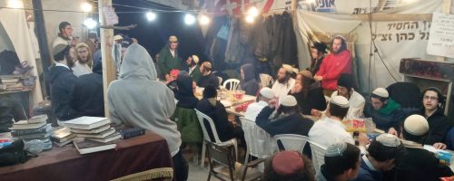 WhatsApp Image 2022-01-09 at 12.03.28