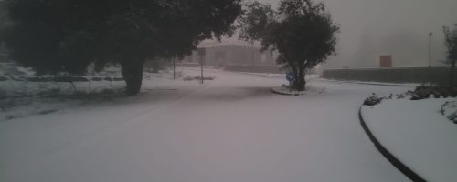 צילום: לימור הולץ דוברת מו"אז גולן