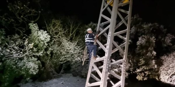 WhatsApp Image 2022-01-20 at 11.10.30