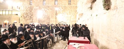 WhatsApp Image 2022-01-20 at 12.46.22 (3)