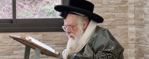 האדמו"ר מתולדות אהרן בלימודו בטבריה// צילום: שרוליק וולס