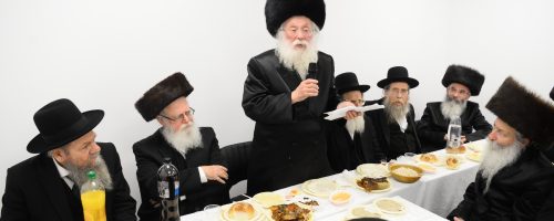 WhatsApp Image 2022-02-09 at 09.59.30