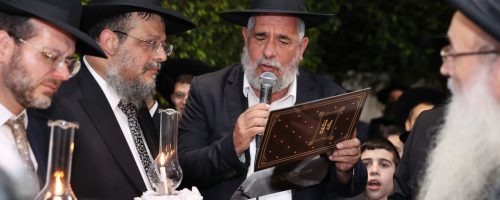 WhatsApp Image 2022-03-03 at 09.54.34