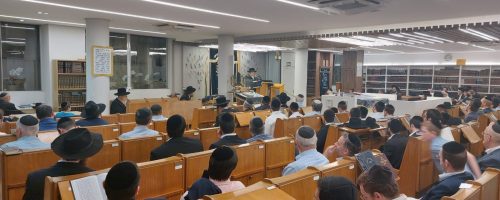 WhatsApp Image 2022-03-25 at 00.45.12