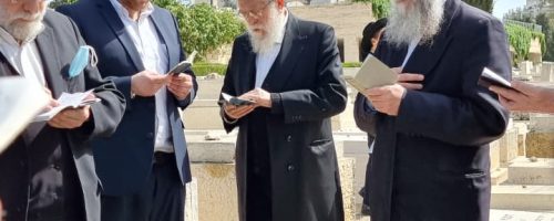 WhatsApp Image 2022-04-10 at 21.05.40 (1)