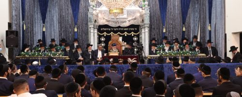 WhatsApp Image 2022-04-16 at 23.01.30