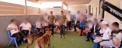 WhatsApp Image 2022-04-17 at 17.43.03