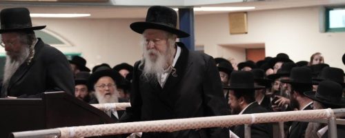 WhatsApp Image 2022-05-11 at 23.35.31