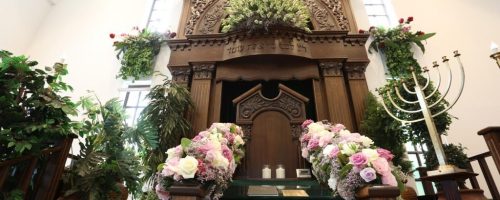 WhatsApp Image 2022-06-03 at 11.32.31 (1)