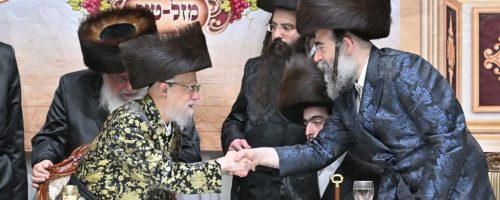 WhatsApp Image 2022-06-19 at 22.39.11 (2)