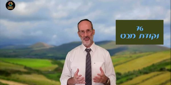 דוד חזן מנכ"ל ריסטרט להצלחה