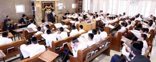 WhatsApp Image 2022-07-10 at 12.56.46