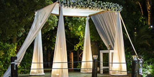 חופה - צילום: קופת העיר