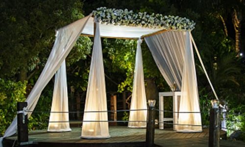 חופה - צילום: קופת העיר