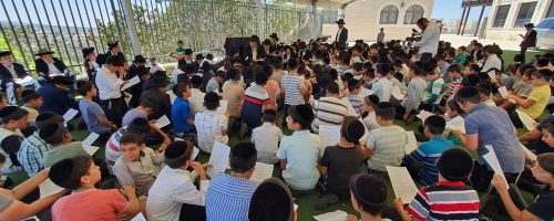 WhatsApp Image 2022-07-28 at 10.46.31