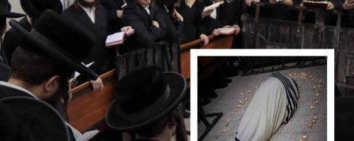 WhatsApp Image 2022-07-31 at 01.53.49