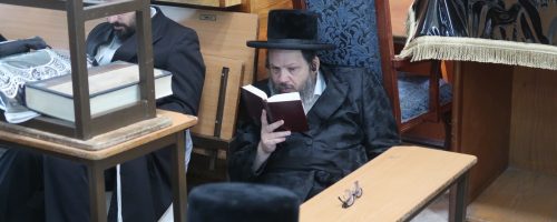 WhatsApp-Image-2022-08-08-at-19.47.48-12