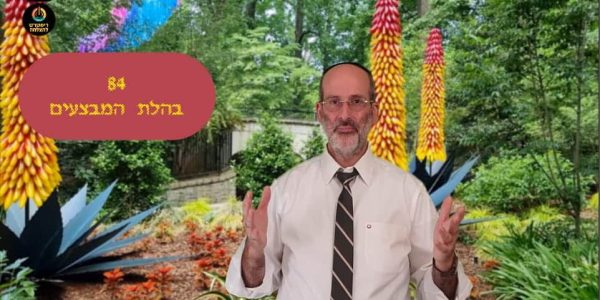 דוד חזן מנכ"ל ריסטרט להצלחה