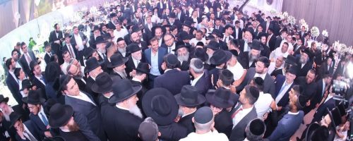 WhatsApp Image 2022-08-29 at 12.21.04