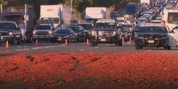 עגבניות על האוטוסטרדה בקליפורניה
