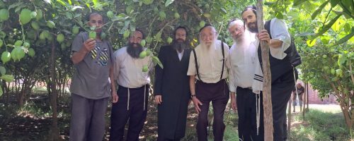 WhatsApp Image 2022-09-07 at 13.53.53