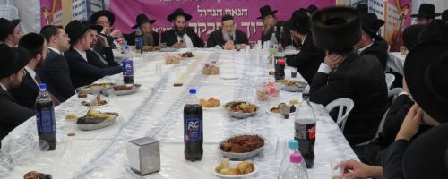 WhatsApp Image 2022-10-14 at 16.53.40