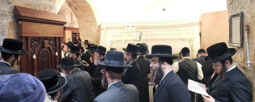 WhatsApp Image 2022-11-03 at 19.35.58 (1)