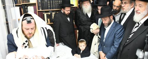 WhatsApp-Image-2022-11-09-at-16.26.02-2