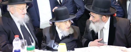 WhatsApp Image 2022-12-12 at 09.50.21