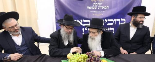 WhatsApp-Image-2023-02-08-at-16.17.58