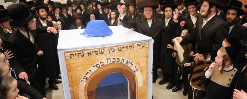 WhatsApp Image 2023-02-21 at 17.00.07