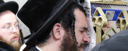 WhatsApp-Image-2023-03-14-at-09.24.40-2